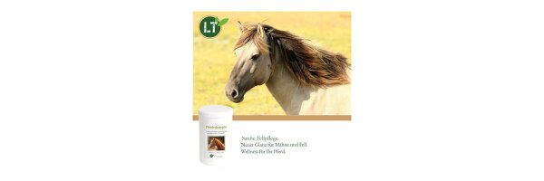 Bio-Fellpflege für Pferde