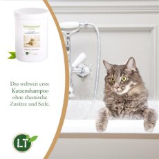 Trockenshampoo f&uuml;r Katzen - mit original marokkanischer Lavaerde | Vegan und Bio | zur chemiefreien Fellpflege | 800 g